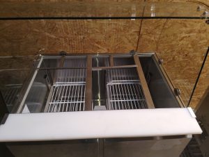 IMG_20250527_125600098